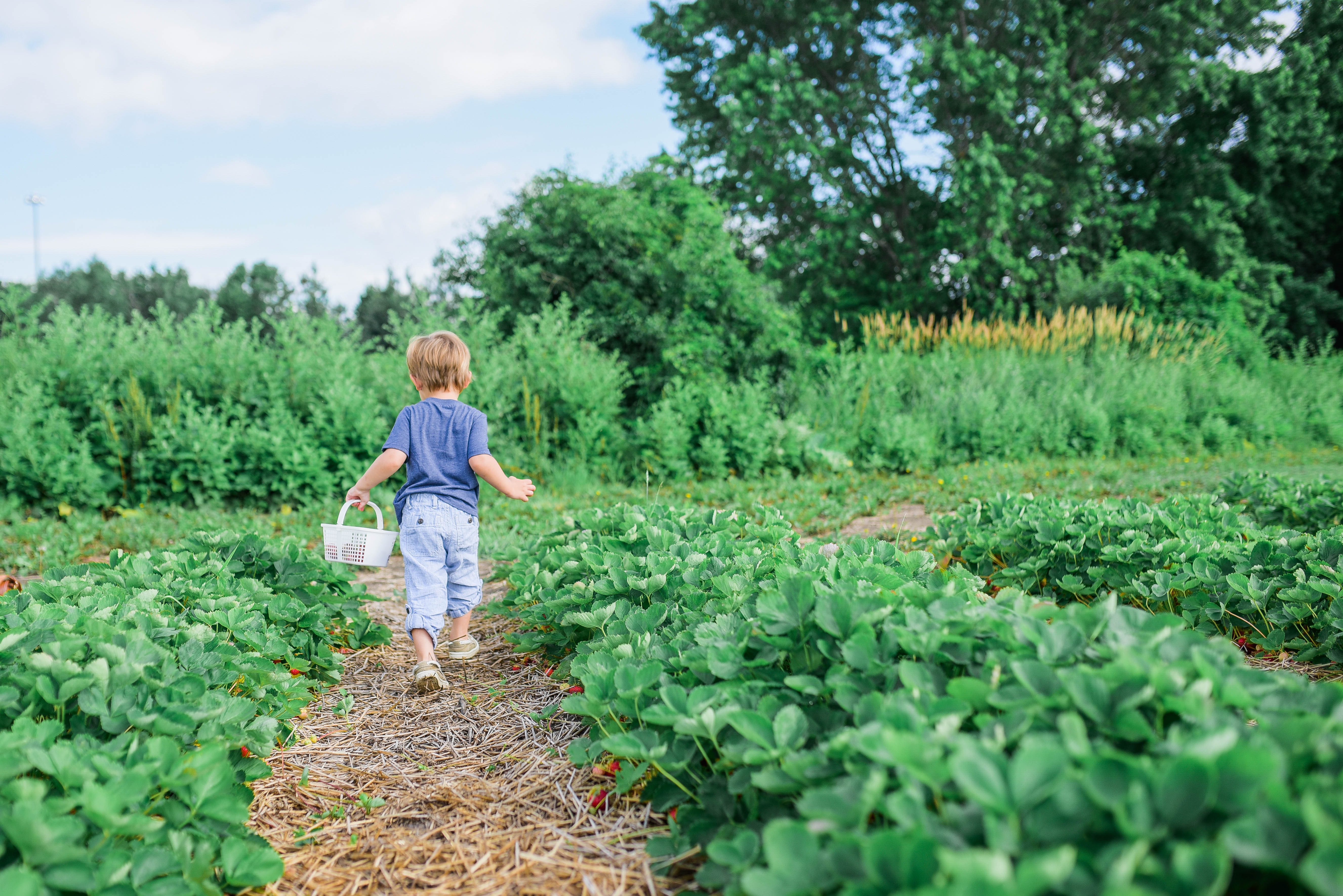 De acht gezondheidswetten – Deel 2: Beweging